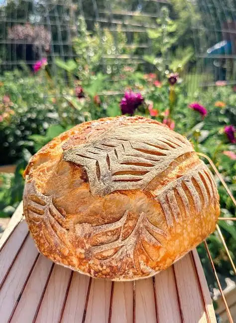 Sourdough Bread
